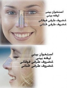 روش کوچک تر کردن بینی با آرایش/آرایش وزیبایی