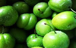 میوه  نوبرانه را با احتیاط بخورید /سلامت