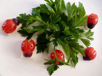 آموزش   تزئین گوجه فرنگی به شکل کفشدوزک /سفر آرایی