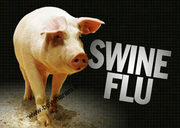 راه های جلوگیری از ابتلا به انفولانزای خوکی/سلامت